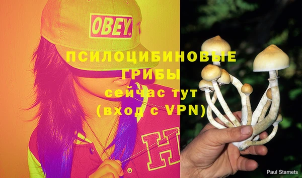 молекула духа Абинск